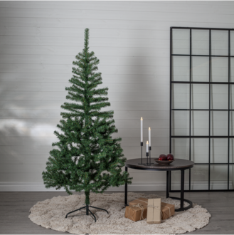 Weihnachtsbaum Dalbo