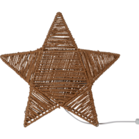 257-56_FL_002.png