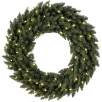 612-61_FL_002.png