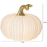 581-52_MT.png