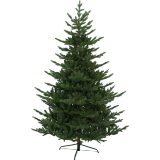 Weihnachtsbaum Brekstad