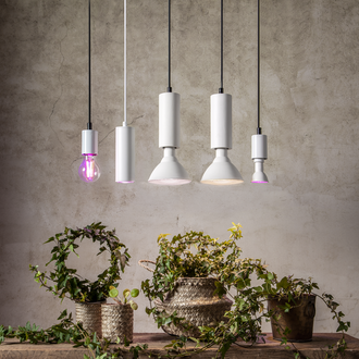 LED-Lampe E14 PAR16 Plant Light