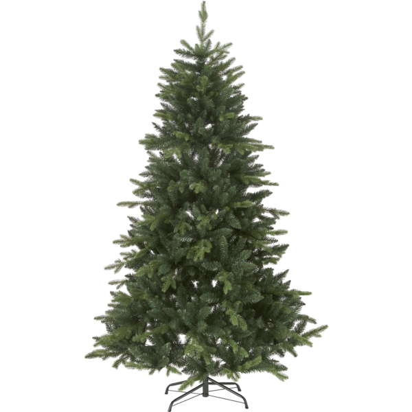 Weihnachtsbaum Bergen