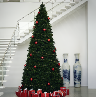 Weihnachtsbaum Colorado