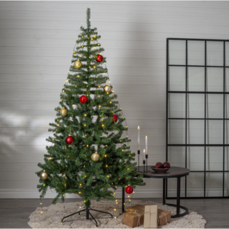 Weihnachtsbaum Dalbo