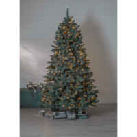 594-13-1,606-10_MB_001.png