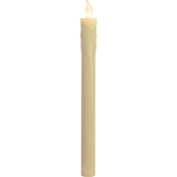 066-61_FL_001.png