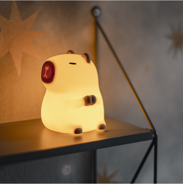 LED Nachtlicht Functional