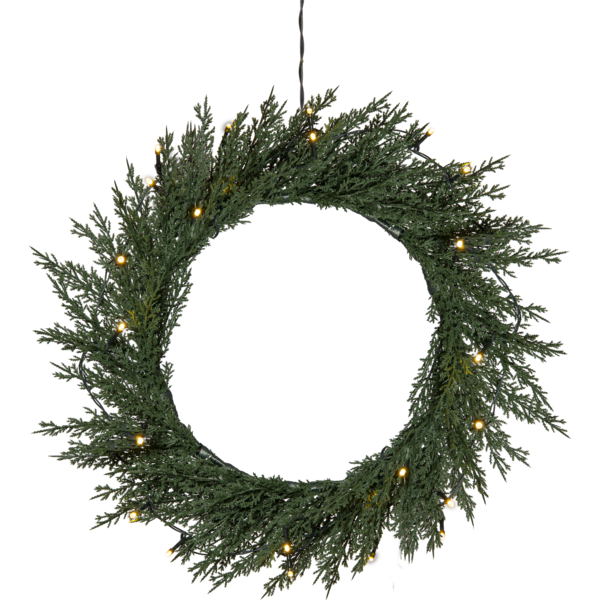 Kranz Thuja