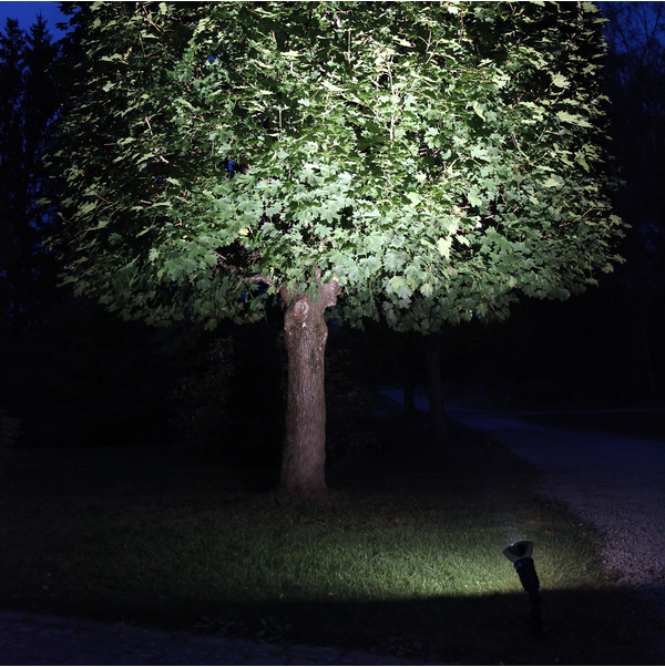 LED-Lampe E27 PAR38 Spotlight Outdoor