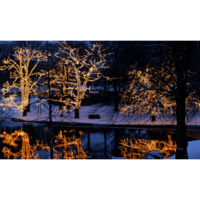 465-06-1,465-08_MB_001.png