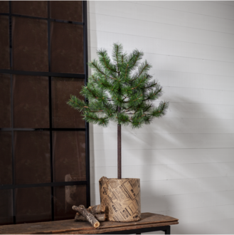 Weihnachtsbaum Tallis