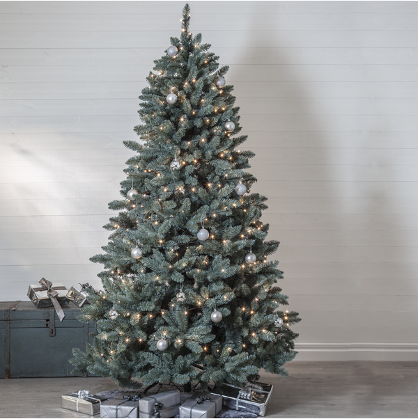 Weihnachtsbaum Royal Blue