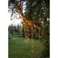 594-11-1,594-12-1_MB_003.png
