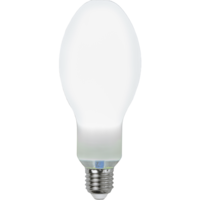 364-42_FL_001.png