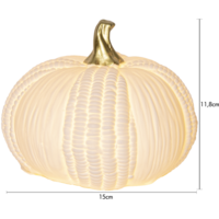 581-51_MT.png