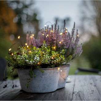 Lichterkette Dew Drop Outdoor