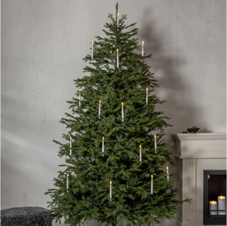 Weihnachtsbaum Enedal