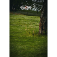 860-44_MB_002.png