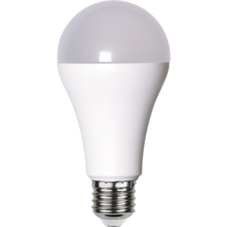 LED-Lampe E27 A65 High Lumen