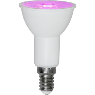 LED-Lampe E14 PAR16 Plant Light
