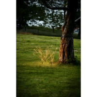 860-44_MB_001.png