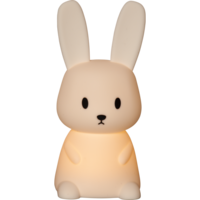 357-66_FL_001.png