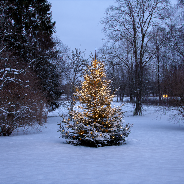 Baum-Lichterkette Shiny Warm White