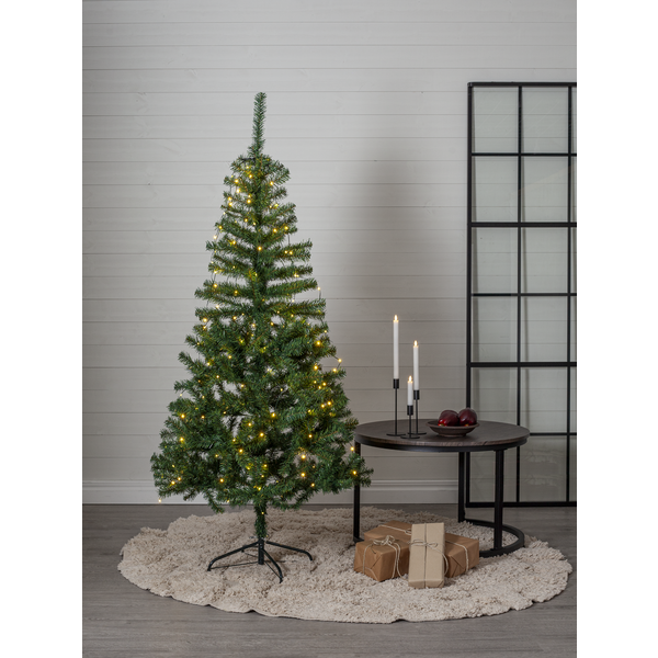 Weihnachtsbaum Dalbo
