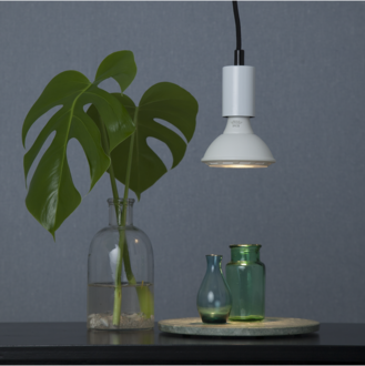 LED-Lampe E27 PAR30 Spotlight Basic