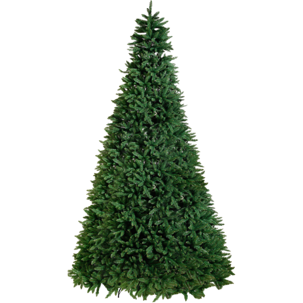 Weihnachtsbaum Calgary
