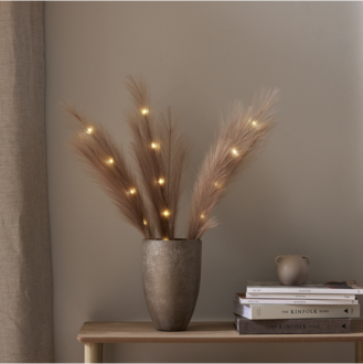 Dekorationszweig Plumes