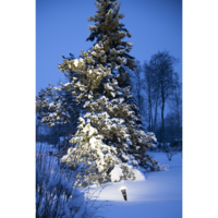 356-81,418-91_MB_001.png