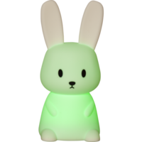 357-66_FL_005.png