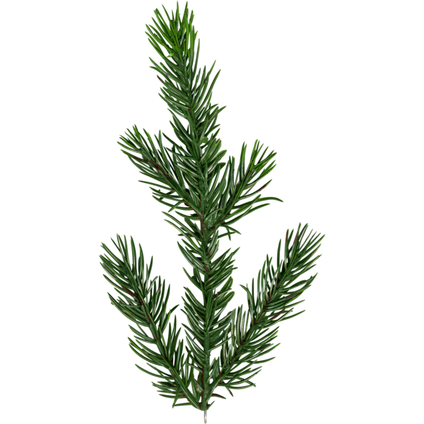 Weihnachtsbaum Malung