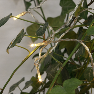Lichterkette Trendlites