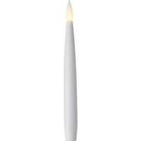 064-65_FL_005.png