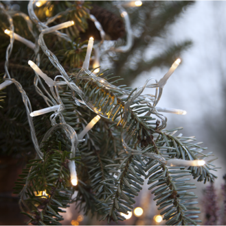 Lichterkette Serie MicroLED