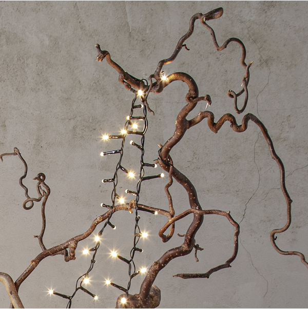 Lichterkette Shiny Warm White