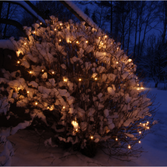 Lichterkette Extra System 24