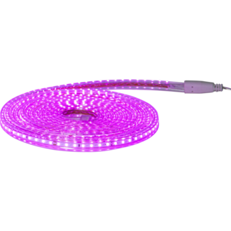 Lichtschlauch FlatSMDLED