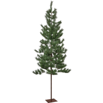 Weihnachtsbaum Tallis