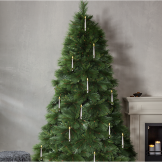 Weihnachtsbaum Cembra