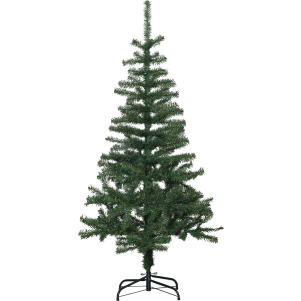 Weihnachtsbaum Dalbo