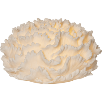 Dekoration Außen Sandy Coral