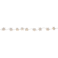 729-47_FL_001.png