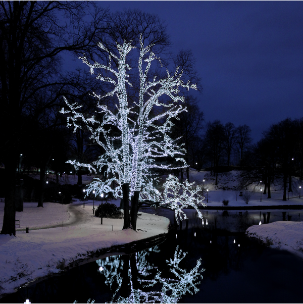 Lichterkette Extra System LED