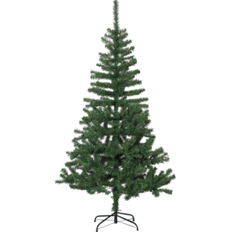 Weihnachtsbaum Dalbo