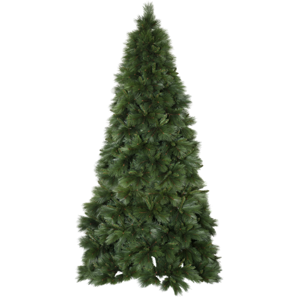 Weihnachtsbaum Cembra