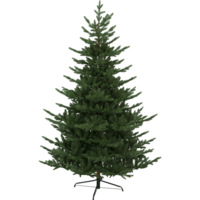 608-54_FL_001.png